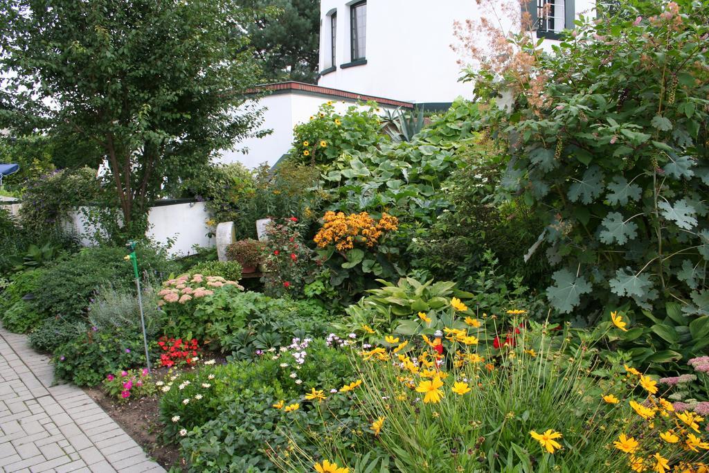 Bed and Breakfast De Witte Molen Kranenburg à Kranenburg  Extérieur photo
